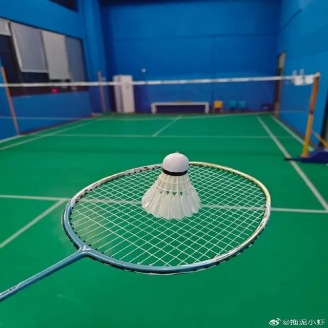 战术板与数据图